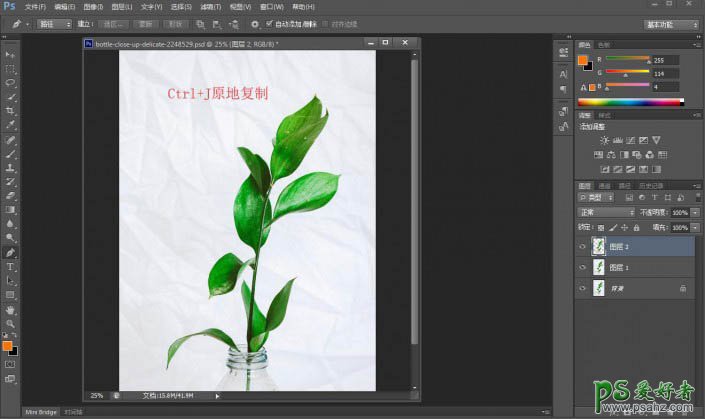 学习用photoshop钢笔工具快速抠出半透明背景的绿色植物图片。