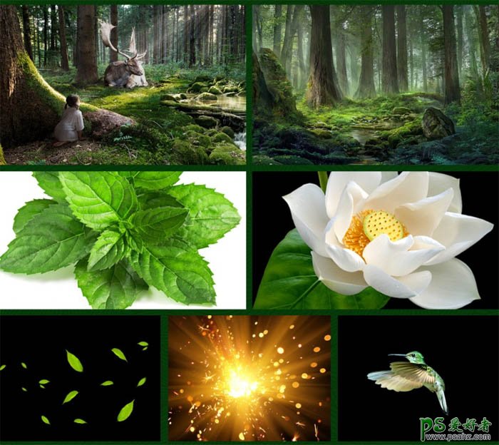 PS海报制作教程：设计一款密林秘境绿色清新效果的化妆品海报