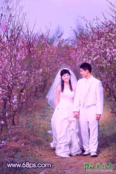 photoshop给春日桃花林里的情侣婚片调出艳丽的桃红色