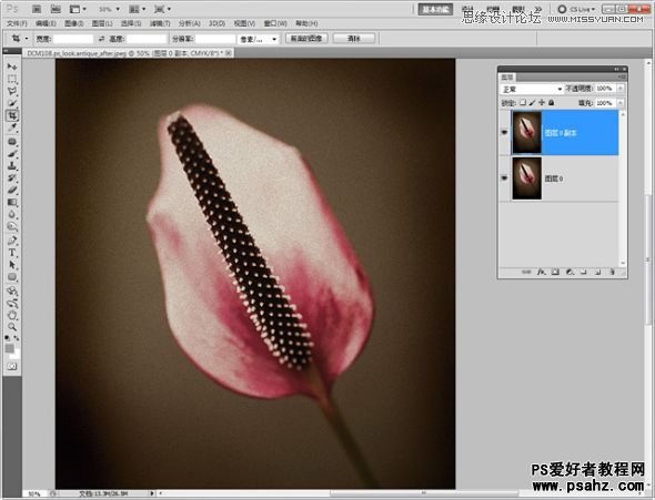 photoshop调出怀旧暗调风格的花朵图片