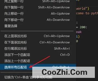 在VScode中怎么快速选择所有匹配项