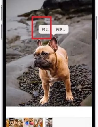 ios16如何抠图