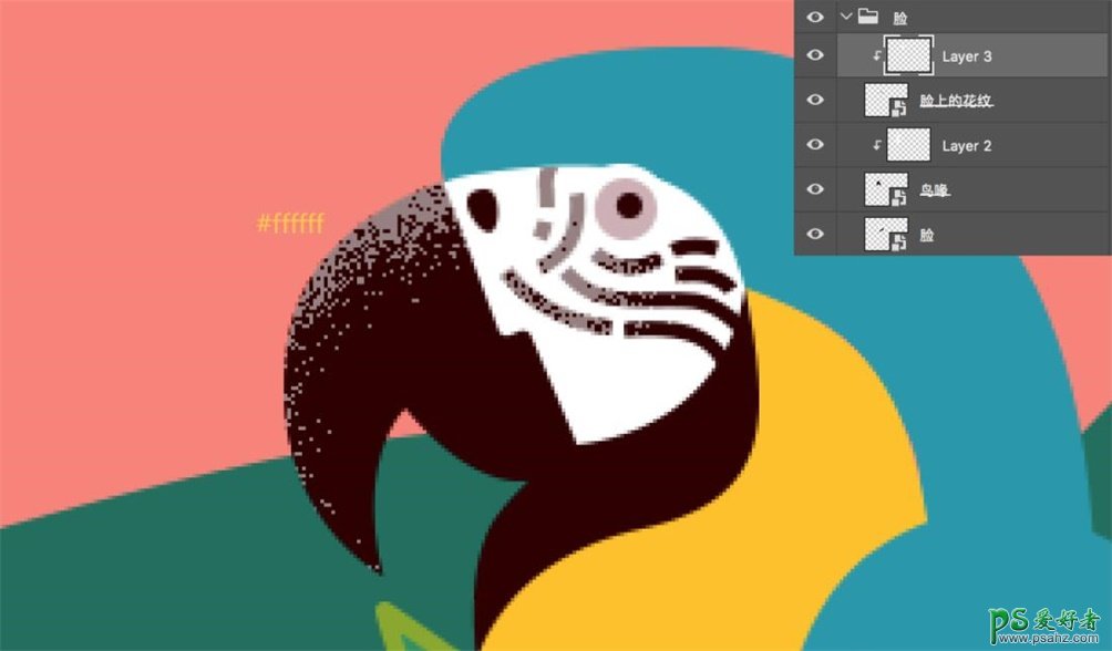 Photoshop结合AI软件手绘复古风格的鹦鹉插画图片，虎皮鹦鹉图片