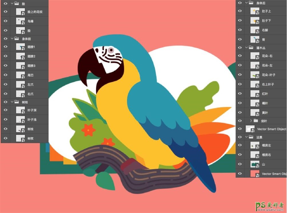 Photoshop结合AI软件手绘复古风格的鹦鹉插画图片，虎皮鹦鹉图片
