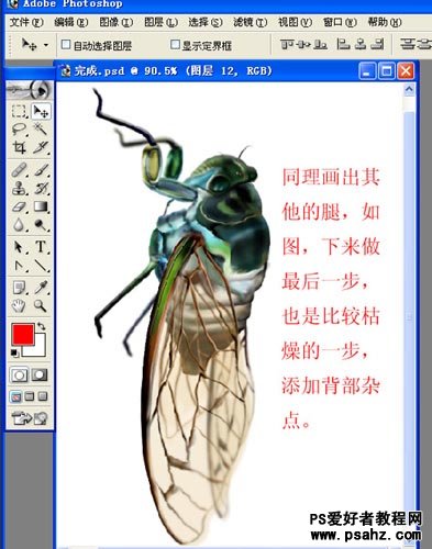 PS实例教程：制作逼真的昆虫-蝉