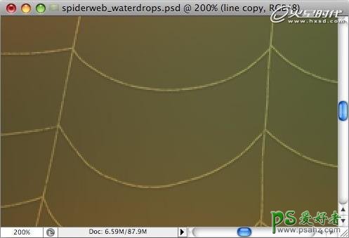 PS实例教程：制作挂满露珠的蜘蛛网素材图片