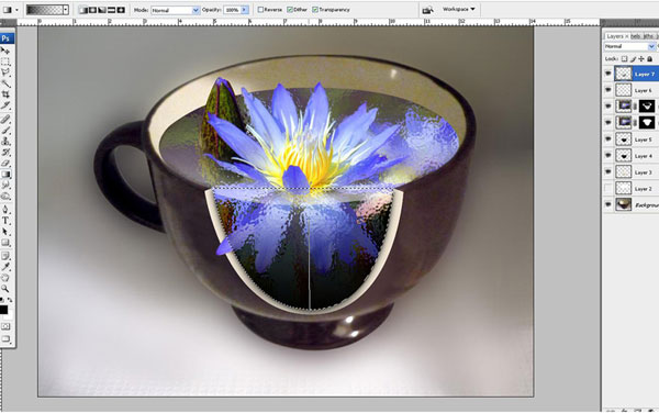 学习用ps融图技术把睡莲合成的杯子里,创建出个性的效果。