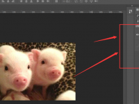 将模糊的图片变得更加清晰 PS图片修复教程 学习调整图片清晰度