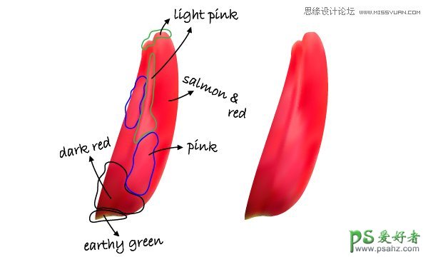 Illustrator手绘唯美清新的玫瑰花和玻璃花瓶失量图素材