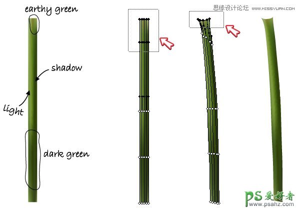 Illustrator手绘唯美清新的玫瑰花和玻璃花瓶失量图素材