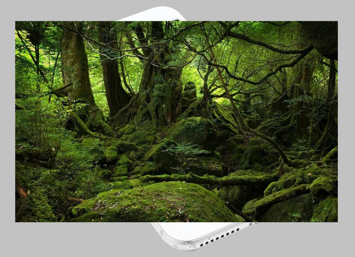 Photoshop合成霸王龙冲出手机屏幕效果的特效照片。