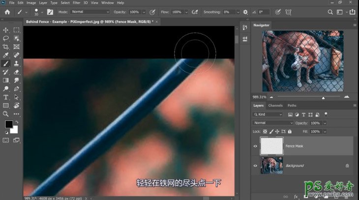 PS抠图大神教你如何快速完美的去除宠物狗图像中的铁丝网纹。