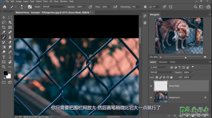 PS抠图大神教你如何快速完美的去除宠物狗图像中的铁丝网纹。