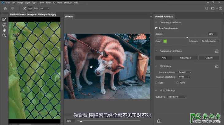 PS抠图大神教你如何快速完美的去除宠物狗图像中的铁丝网纹。
