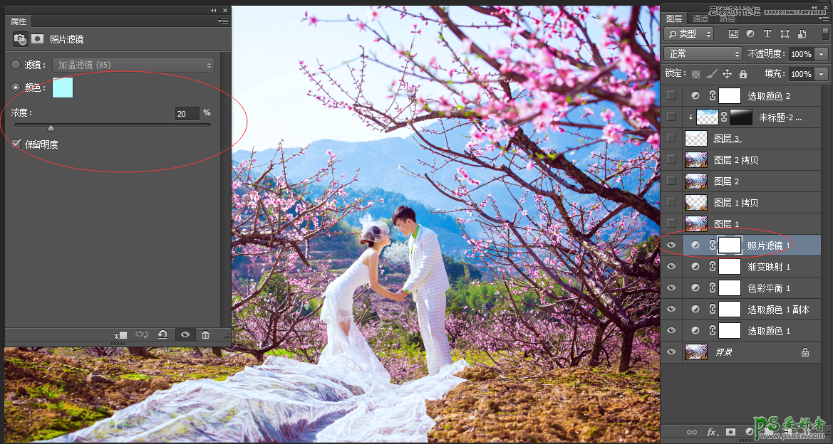 Photoshop给桃花园里拍摄的婚纱照制作出唯美的仙境视觉效果