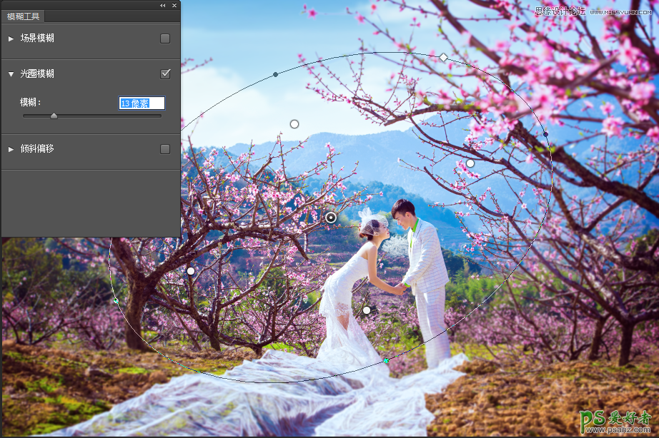 Photoshop给桃花园里拍摄的婚纱照制作出唯美的仙境视觉效果
