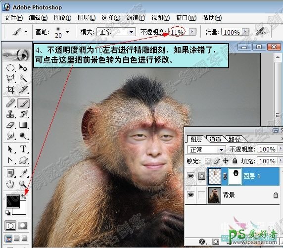 PS人像合成教程：把人的头像合成到可爱的猴子头上