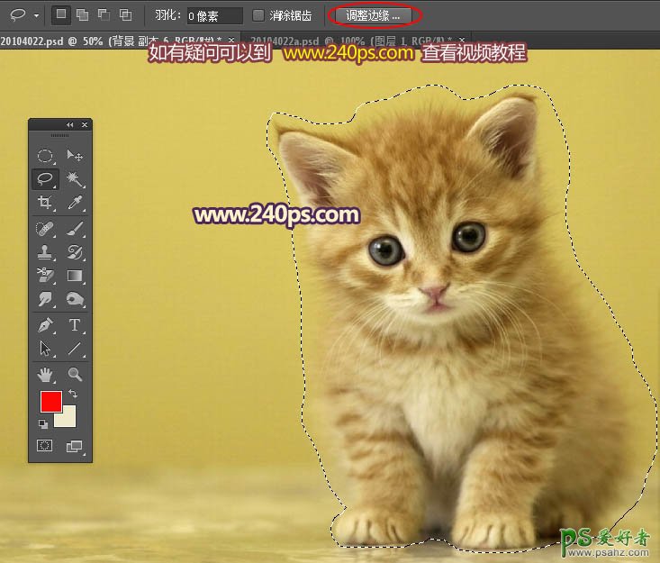 PS多毛动物抠图教程：利用调整边缘抠出多毛发可爱小猫素材图