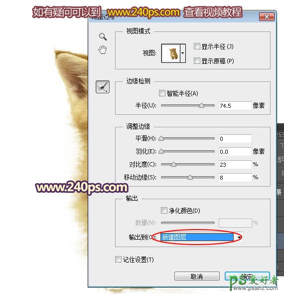 PS多毛动物抠图教程：利用调整边缘抠出多毛发可爱小猫素材图