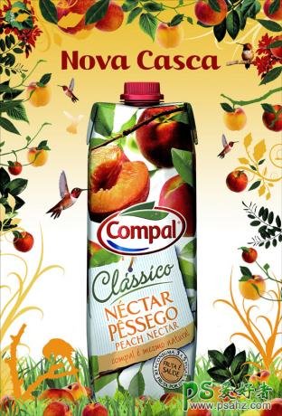 Compal饮料包装设计欣赏，Compal饮料平面广告设计作品