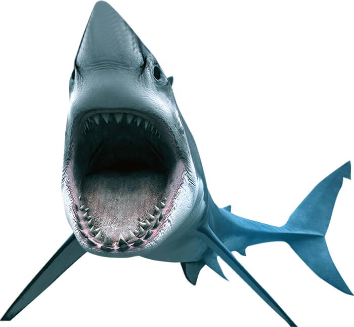 PS特效图片制作：利用合成技术打造沙滩鱼船科幻海报，史前大白鲨