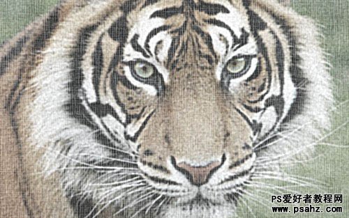 PS滤镜特效把一张老虎图片制作成粗纹麻布效果教程
