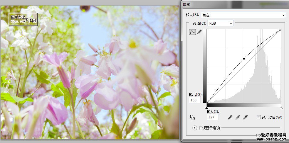 PS照片调色教程：给花朵图片调出清新淡雅的日系风格