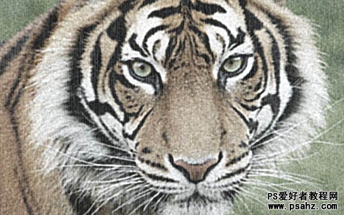 PS滤镜特效把一张老虎图片制作成粗纹麻布效果教程