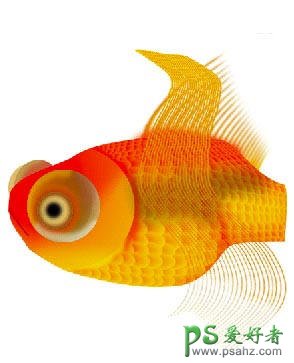 PS鼠绘教程：绘制逼真的金鱼，金鱼图片素材，金鱼失量图片素材