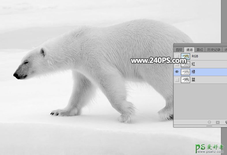 新手PS通道抠图技巧教程：快速给北极熊素材图片进行抠图换背景。