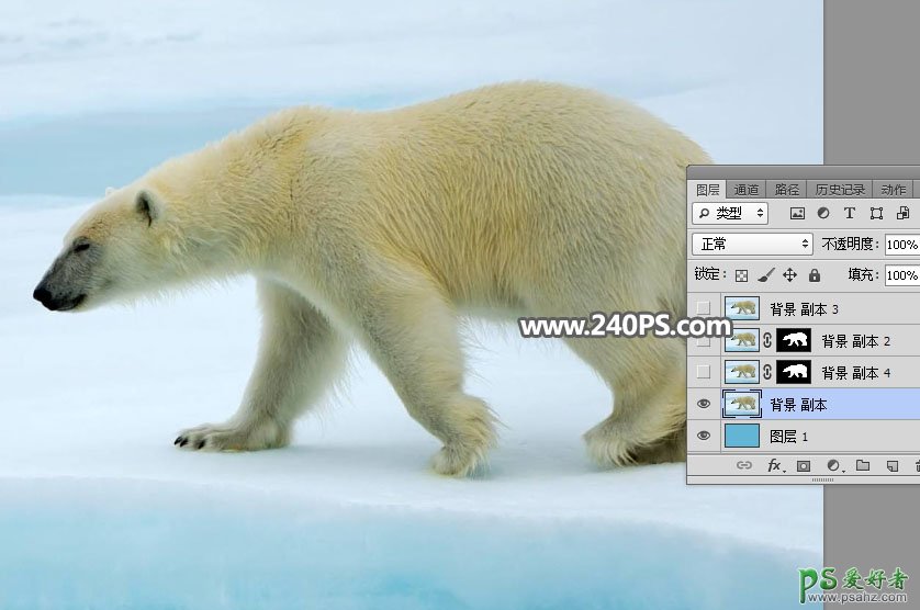 新手PS通道抠图技巧教程：快速给北极熊素材图片进行抠图换背景。