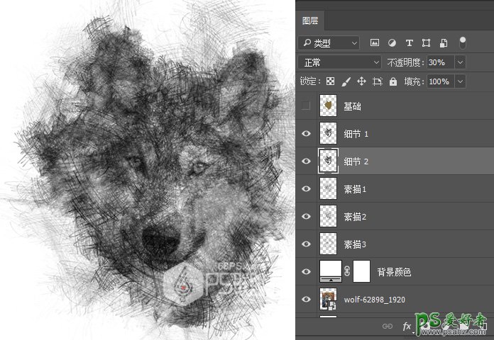 Photoshop手工制作漂亮的铅笔画效果的狼头像，涂鸦素描野狼头像