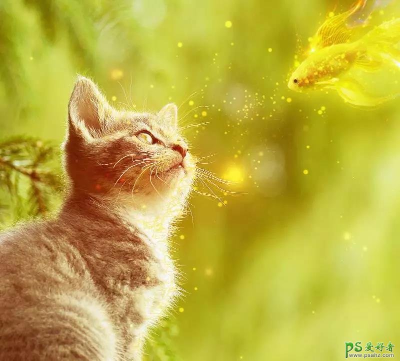 PS图像合成实例：创意打造可爱的小菊猫与飞舞的金鱼玩耍场景。