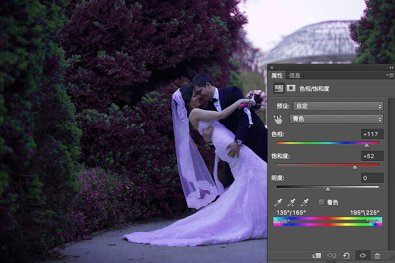 PS婚纱照调色：利用色相饱和度给欧美情侣婚纱照调出唯美的紫色。