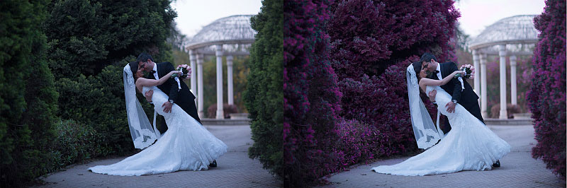 PS婚纱照调色：利用色相饱和度给欧美情侣婚纱照调出唯美的紫色。