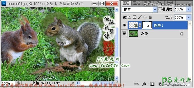 Photoshop合成在花丛中求爱的小松鼠_松鼠情侣求爱图