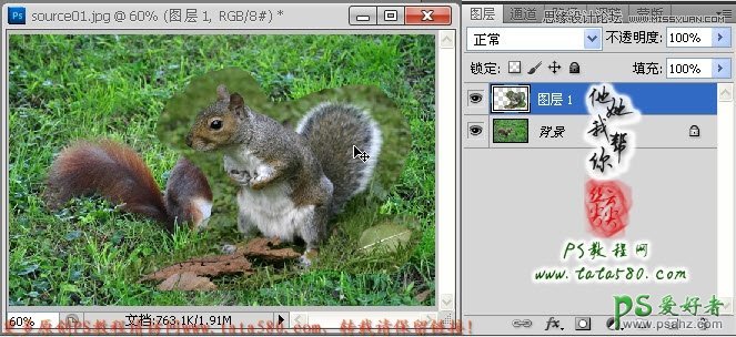 Photoshop合成在花丛中求爱的小松鼠_松鼠情侣求爱图