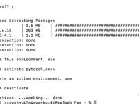 MacOS(M1芯片 arm架构)下安装PyTorch的详细过程