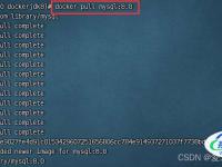 Docker安装MySQL8.0的详细步骤(附图文!)
