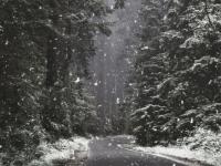 给森林风景照片制作出逼真的下雪效果 PS下雪效果图片制作