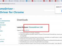 driver = webdriver.Chrome()报错问题及解决