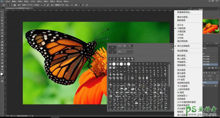 PS油画效果照片制作教程：巧用笔刷工具给蝴蝶图片制作成油画效果