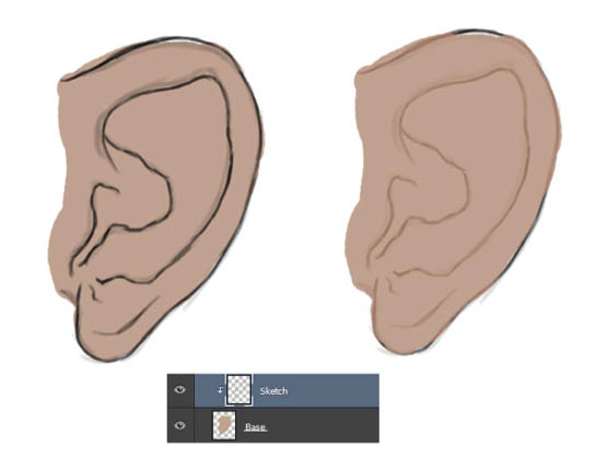 PS鼠绘教程：手绘大师教你绘制逼真的耳朵素材图,画耳朵实例。