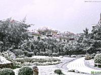 学习把一张春季别墅景观照片制作成大雪纷飞效果 PS雪景图片制作