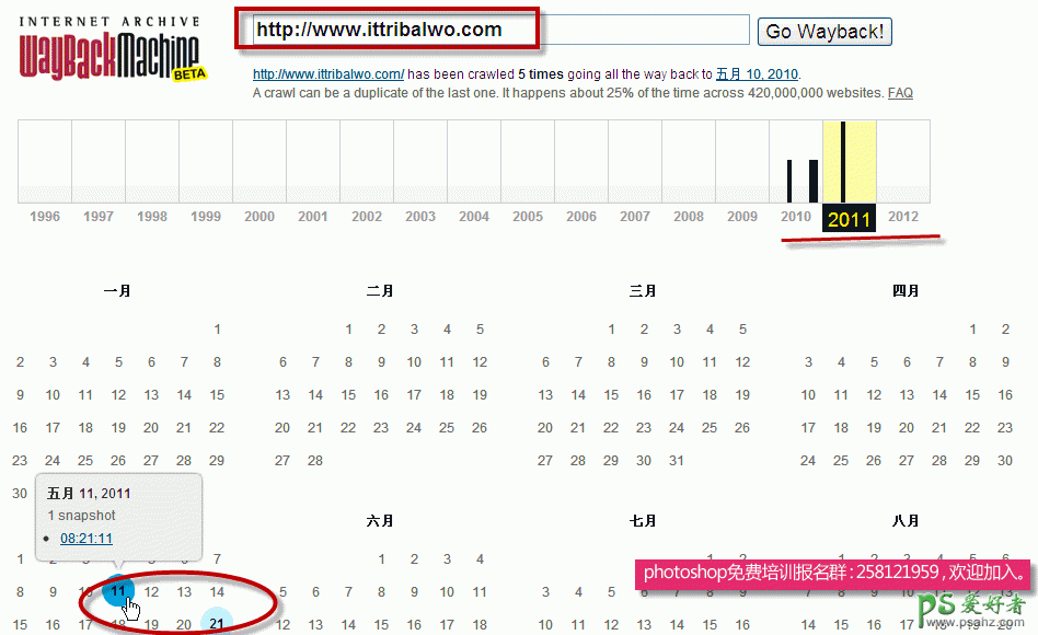 如何查看网站的历史记录？历史记录查询。