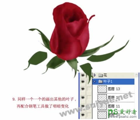 PS鼠绘教程：鼠绘一支逼真的玫瑰花图片素材教程