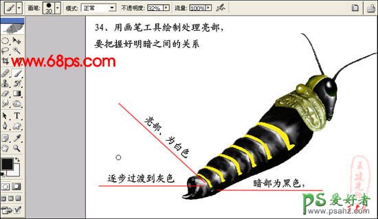 PS鼠绘教程：绘制超真实的蝗虫失量素材图片实例教程