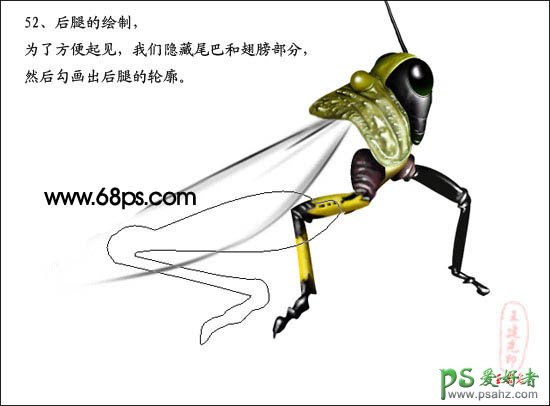 PS鼠绘教程：绘制超真实的蝗虫失量素材图片实例教程