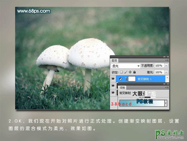 PS调色教程：给一对漂亮的小蘑菇图片调出伤感的青色调