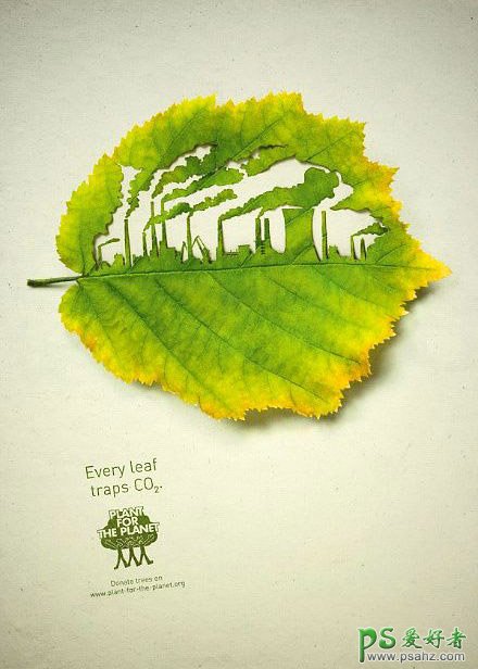 个性时尚的树叶剪影海报设计作品，漂亮的树叶剪影素材图片。